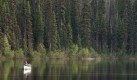 Kibbee Lake Evening