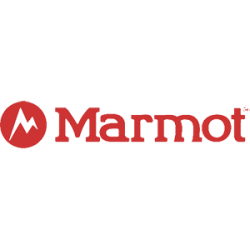 marmot