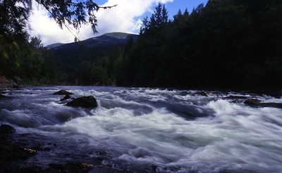 River Flow at the Adams River