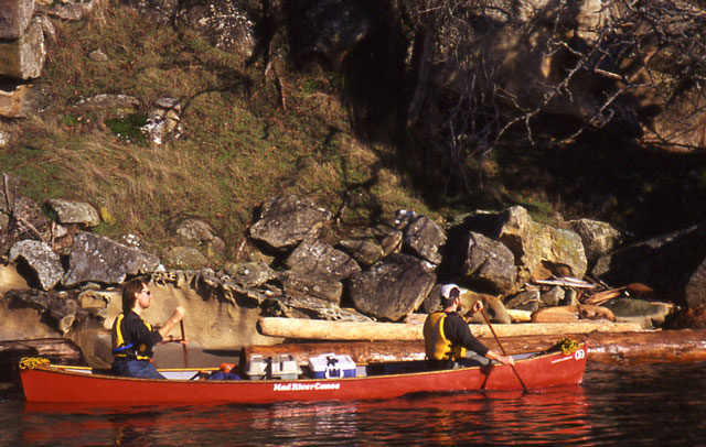 Paddling the Shoreline DeCourcey Isl